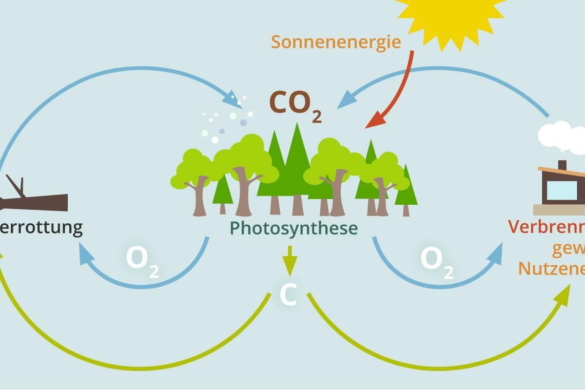 CO2-kreislauf.jpg