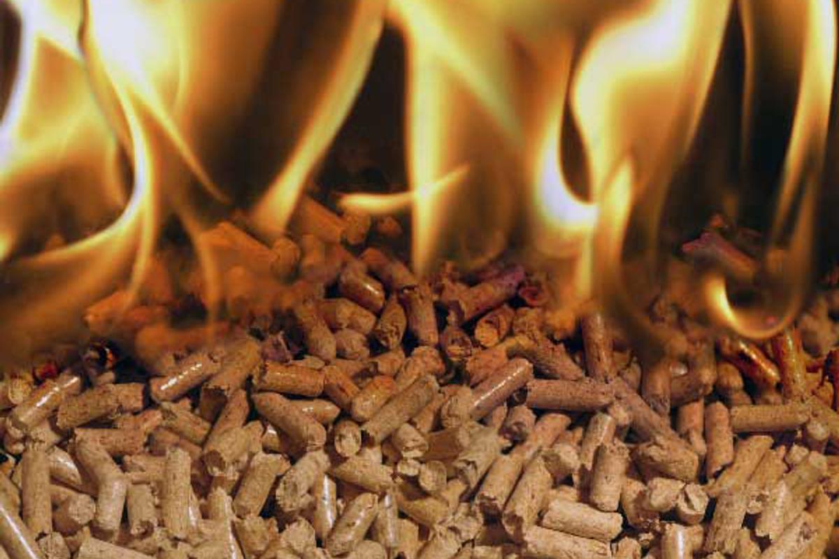 Pellets__burning.jpg