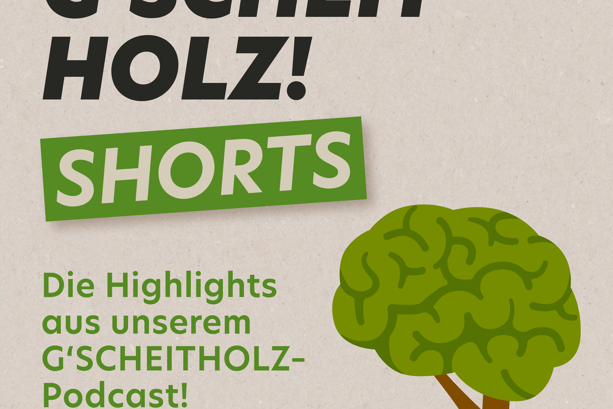 gescheitholz_shorts_highlights_1
