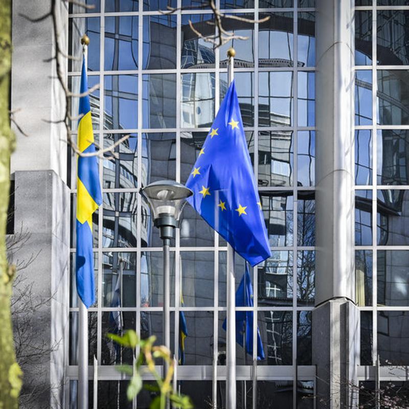 EU erhöht Erneuerbaren-Ziel und setzt auf Holzenergie