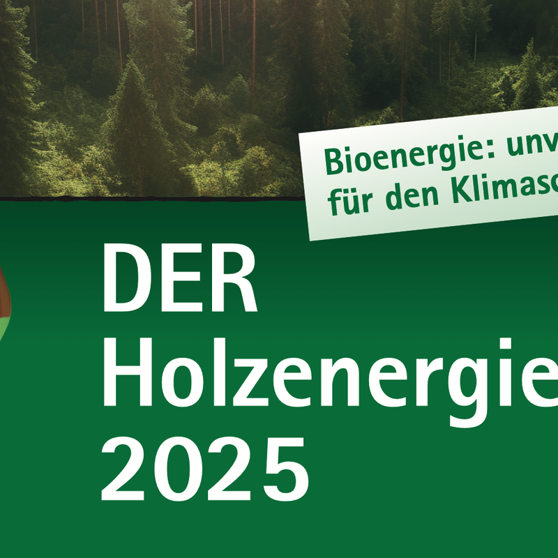 Die Preisverleihung in 3 Kategorien: 