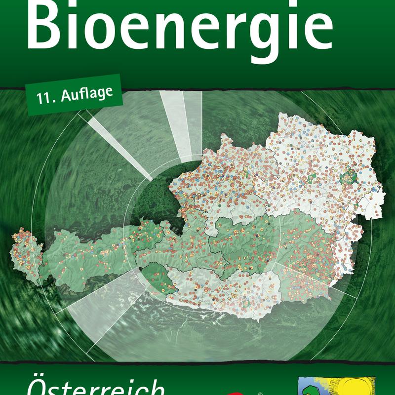 25 Jahre Basisdaten Bioenergie Österreich
