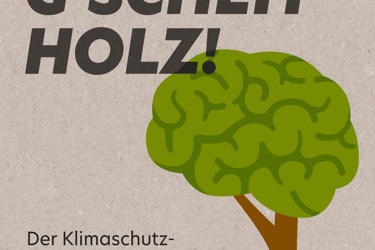 gscheitholz_Hirnbaum_web