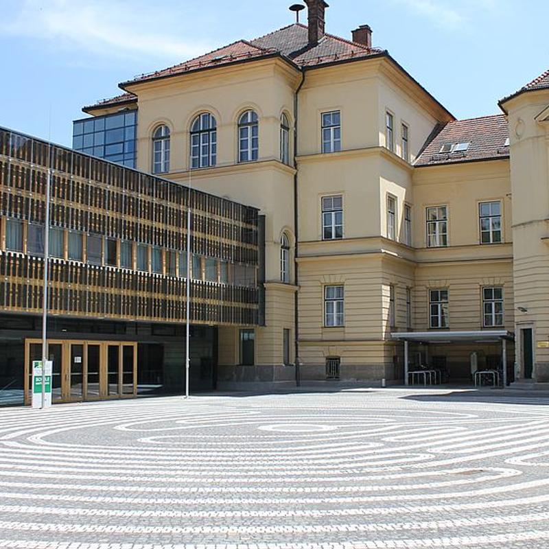 Programm & Anmeldung