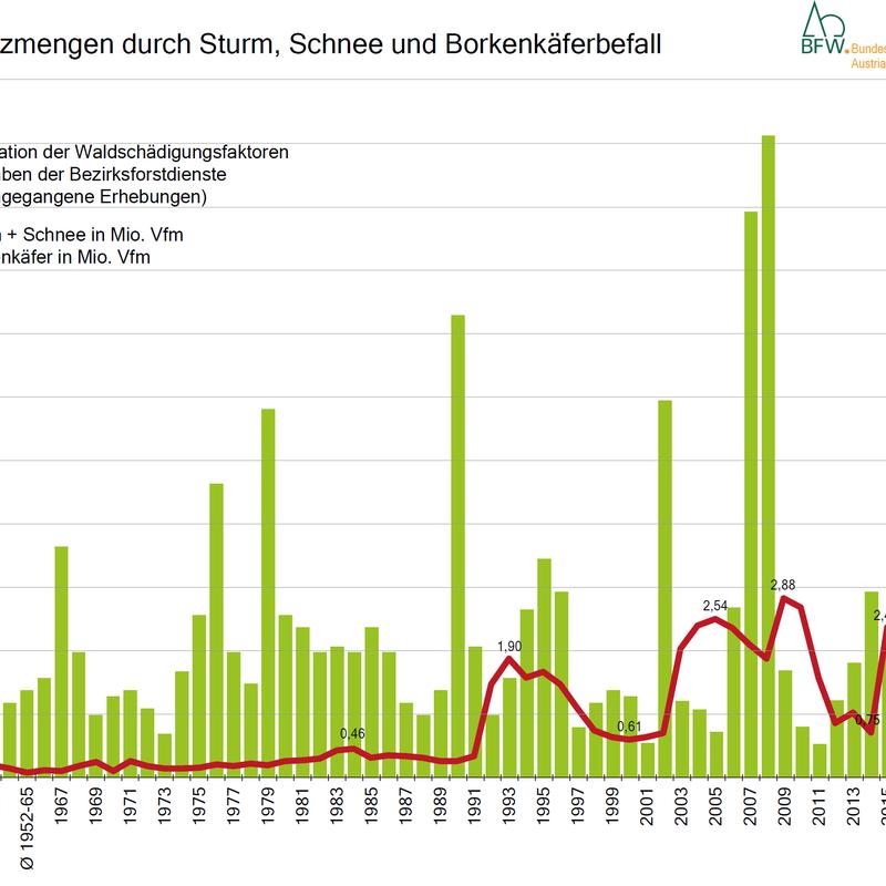 Bioenergie ist wichtiger Eckpfeiler