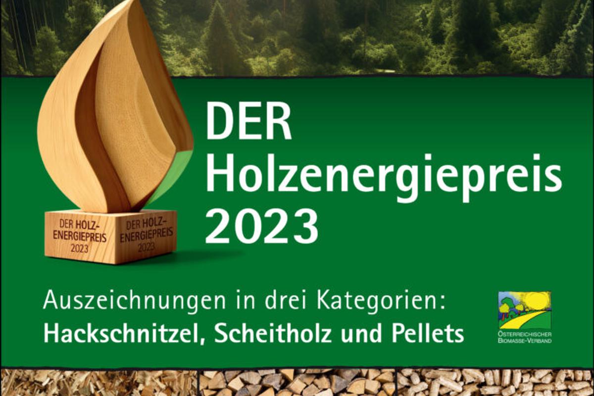 Cover_Holzenergiepreis-724x1024