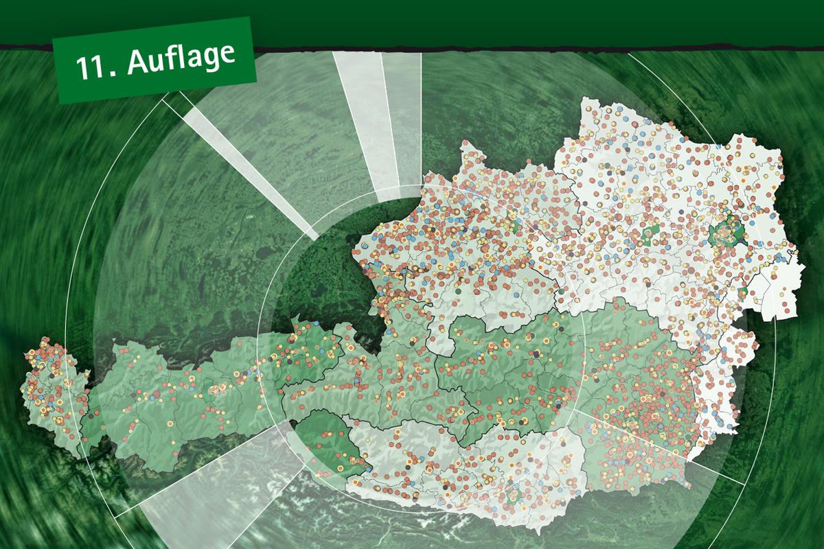 Cover Basisdaten Bioenergie 2025