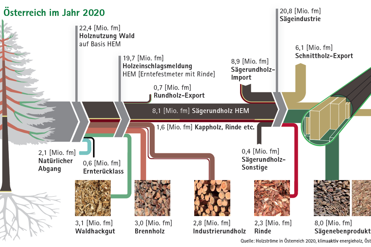 Holznutzung A 2020