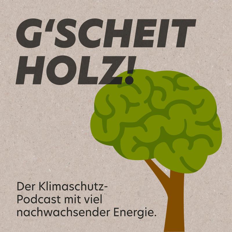 Neue Podcast Folge