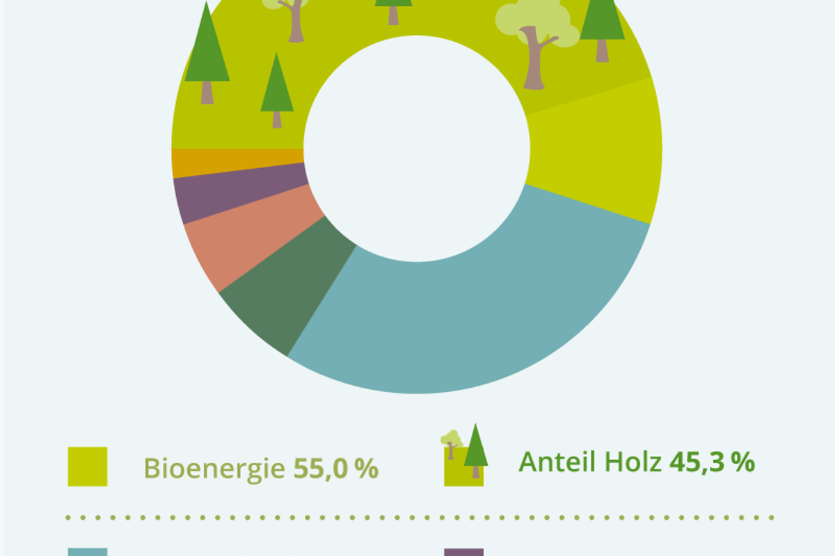 bruttoinlandsverbrauch_1